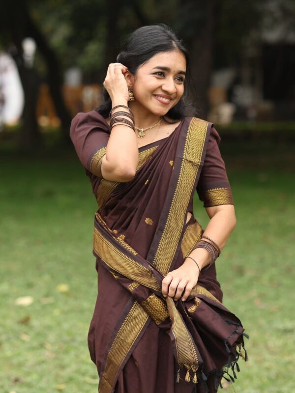 Pure Handloom Saree Double Border