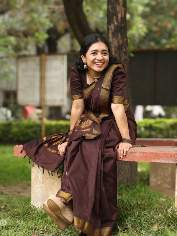 Pure Handloom Saree Double Border